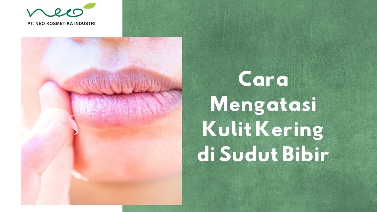 Tips Mengatasi Kulit Kering di Sudut Bibir