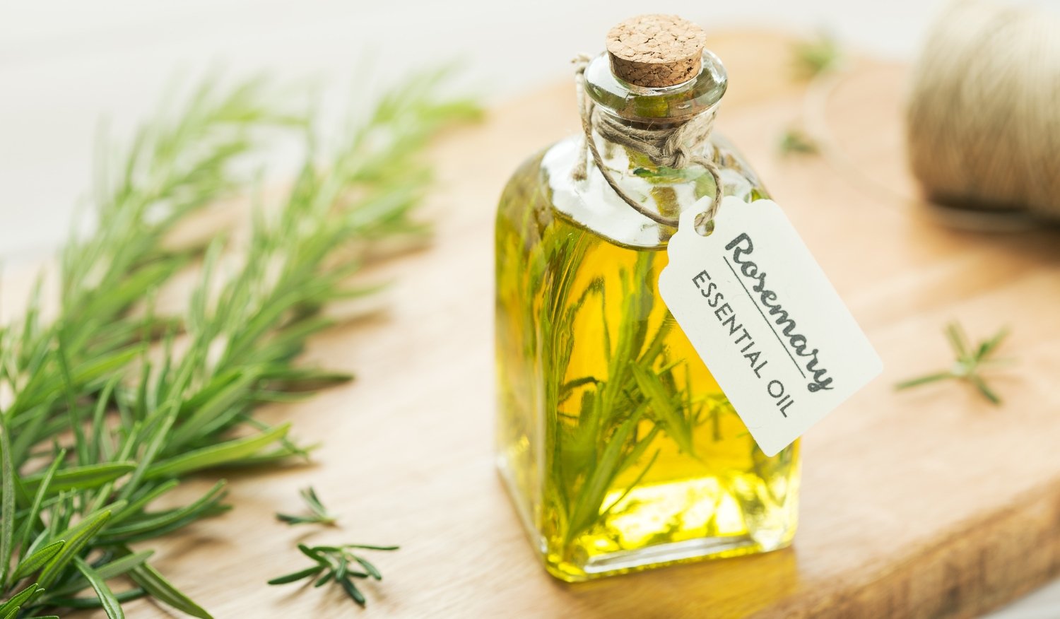 rosemary oil untuk rambut
