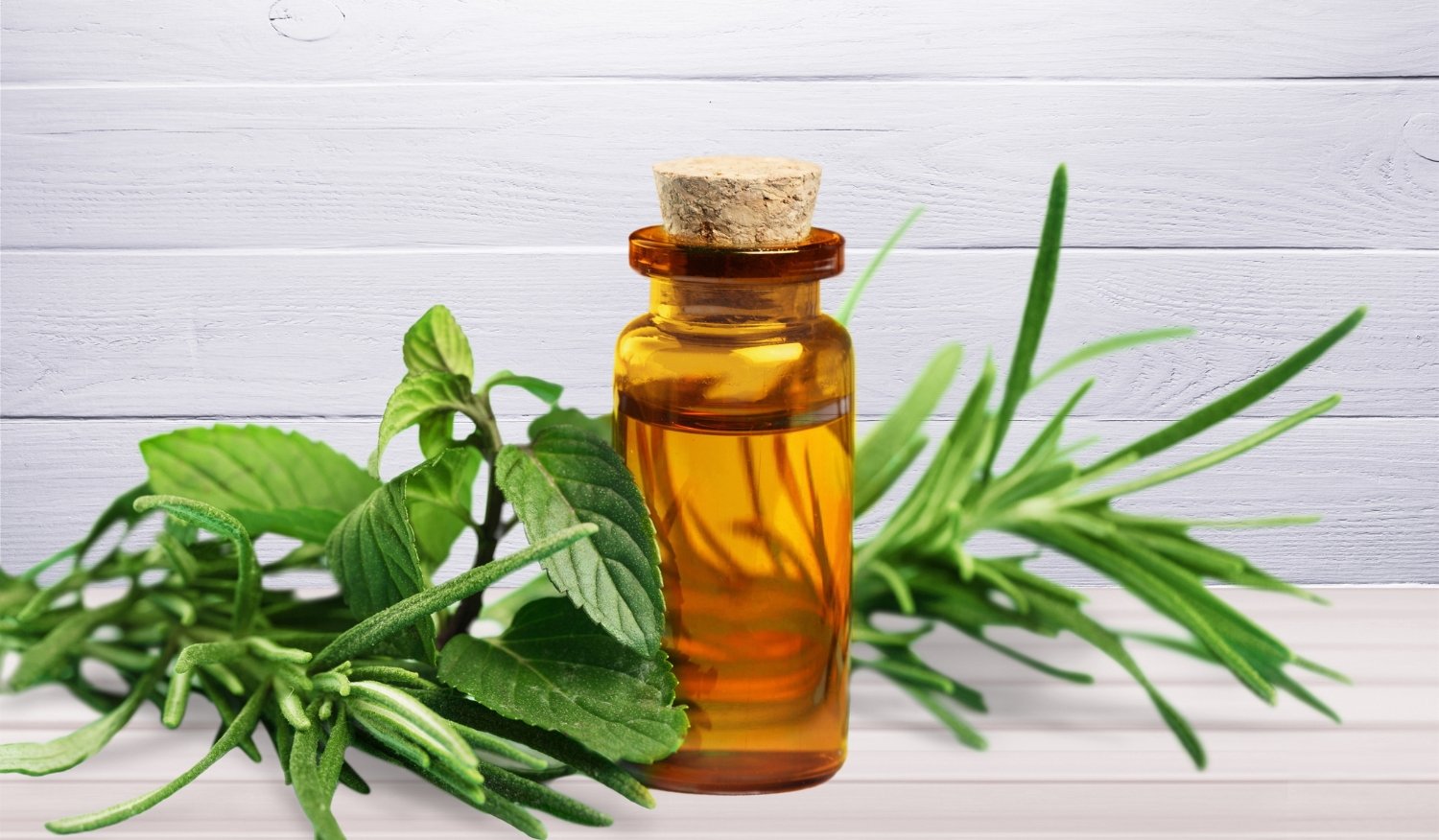 bahan skincare alami dan aman